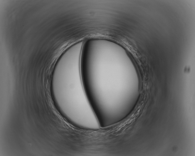 X0000097660193200802290930
