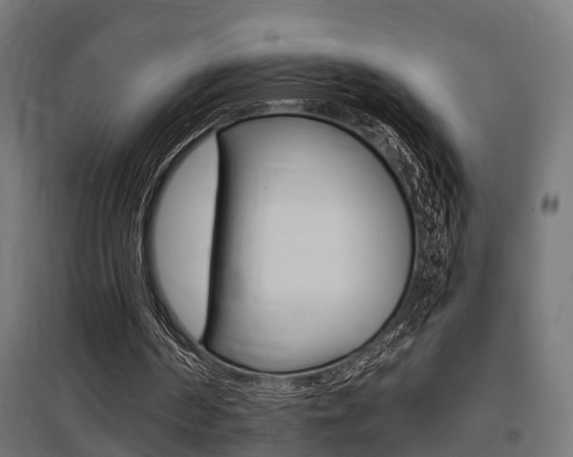 X0000097660194200802290930