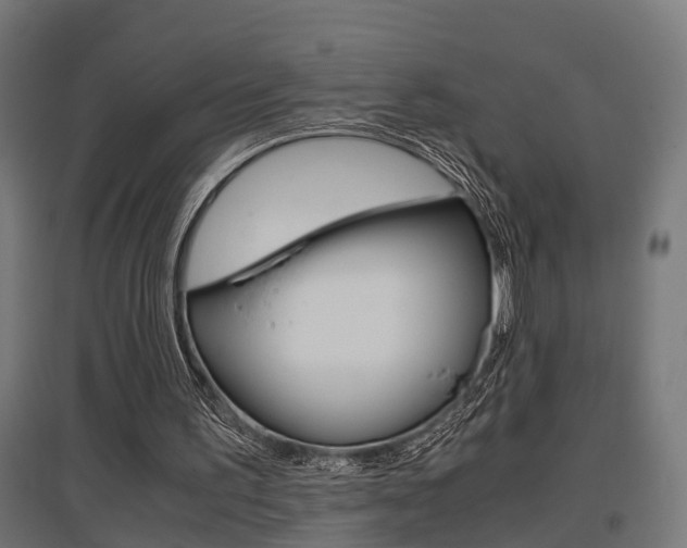 X0000097660195200802290930