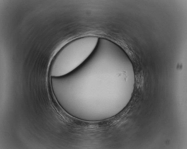 X0000097660196200802290930
