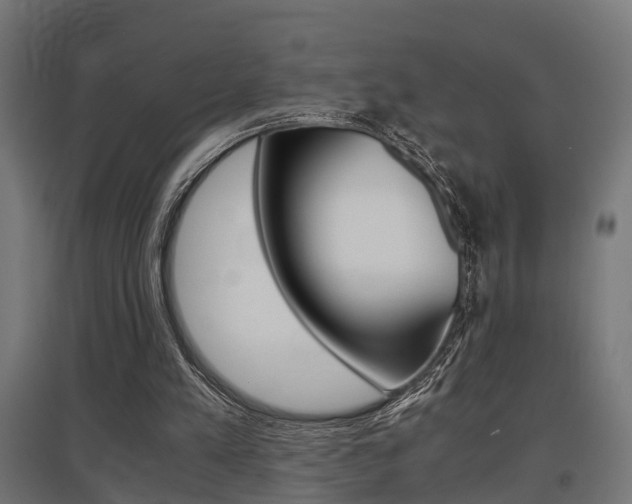 X0000097660197200802290930
