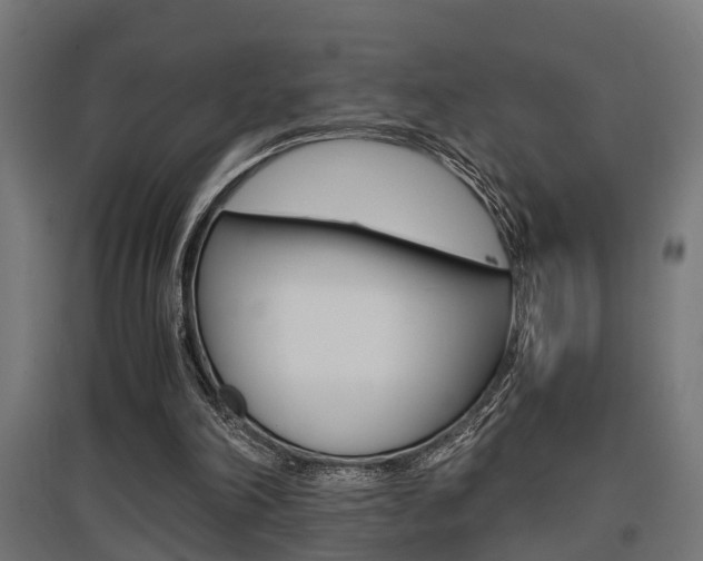 X0000097660198200802290930