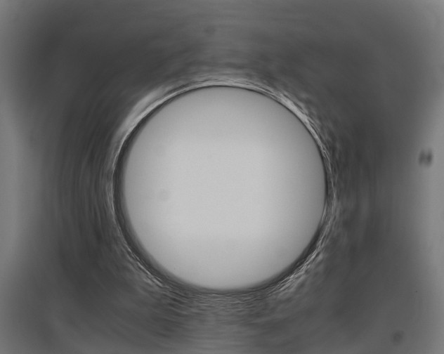 X0000097660199200802290930