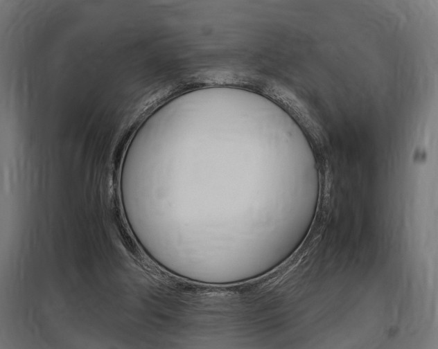 X0000097660202200802290930
