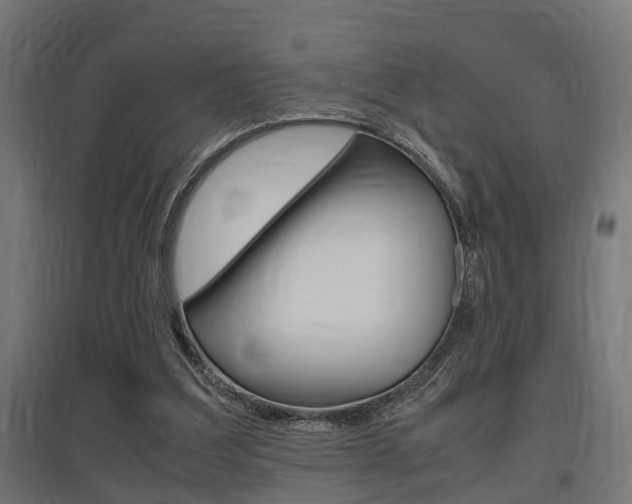 X0000097660203200802290930