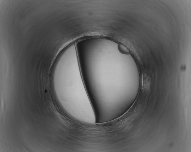X0000097660204200802290930