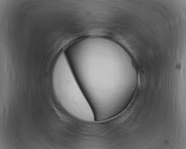 X0000097660205200802290930
