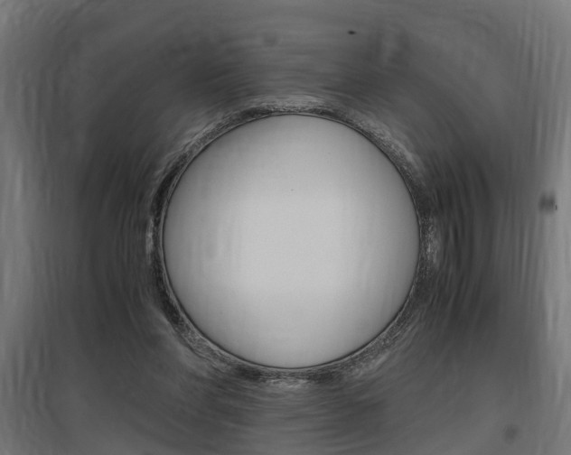 X0000097660206200802290930