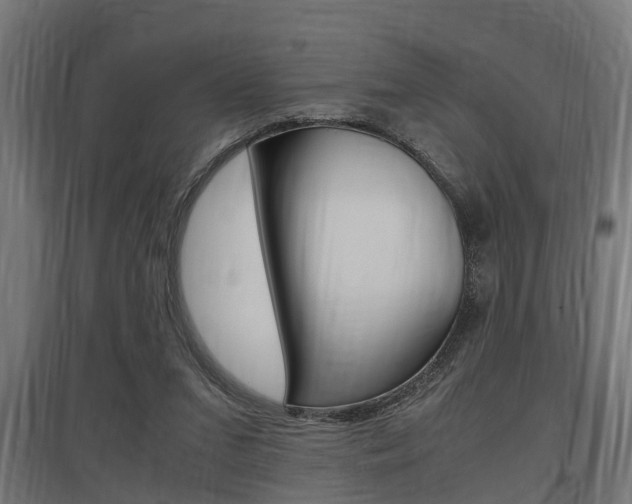 X0000097660207200802290930