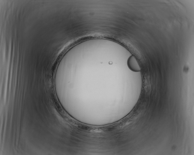X0000097660208200802290930