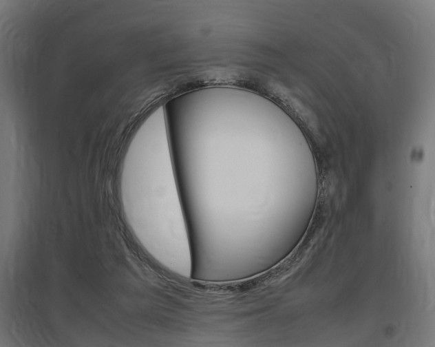 X0000097660209200802290930