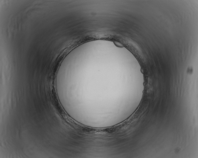 X0000097660210200802290930
