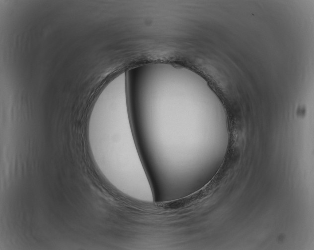 X0000097660211200802290930