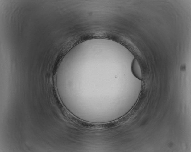 X0000097660213200802290930