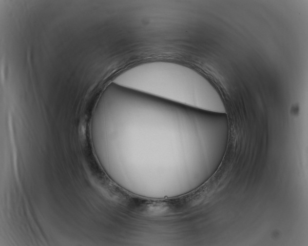 X0000097660214200802290930