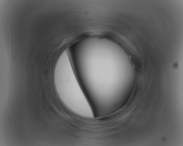 X0000097660215200802290929