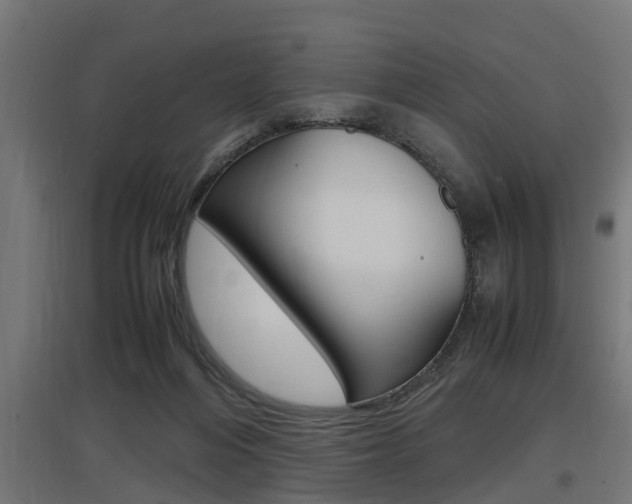 X0000097660216200802290929