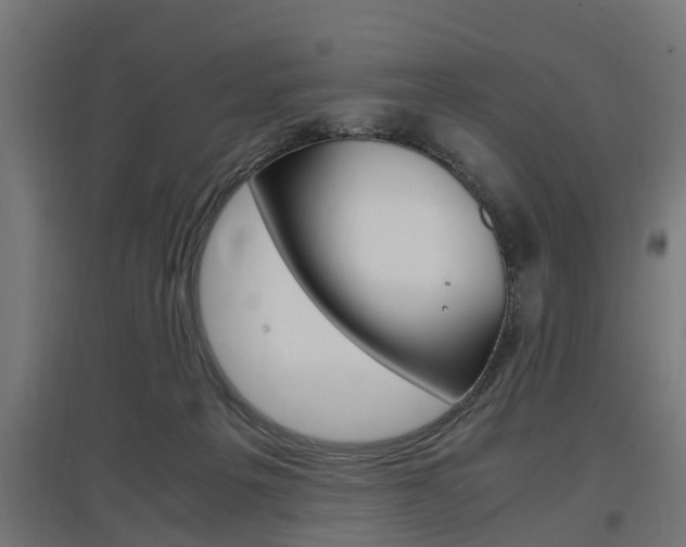 X0000097660217200802290929