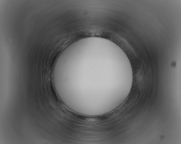 X0000097660218200802290929