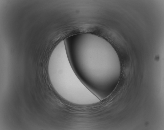X0000097660219200802290929
