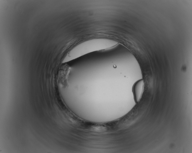 X0000097660220200802290929