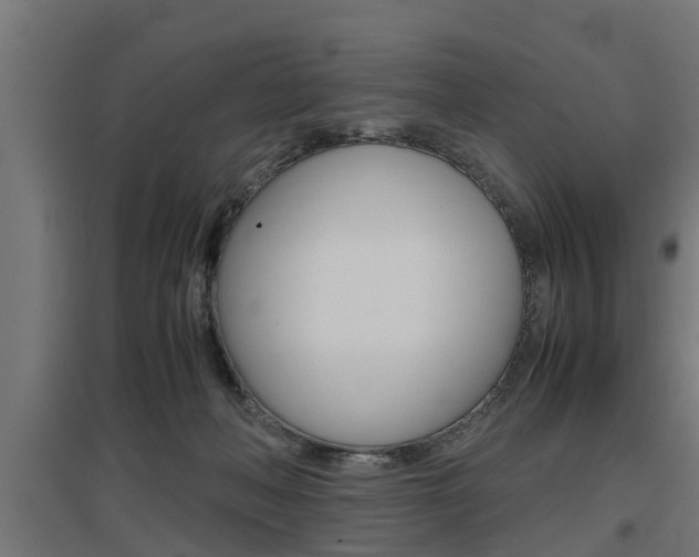 X0000097660222200802290929