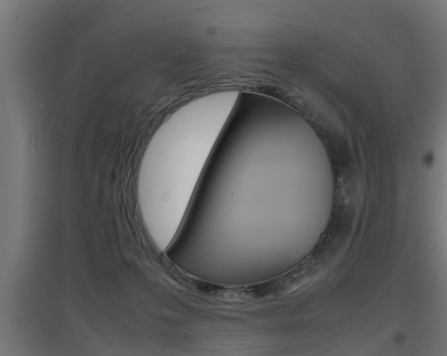 X0000097660223200802290929