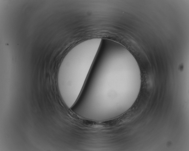 X0000097660224200802290929