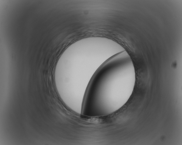 X0000097660225200802290929