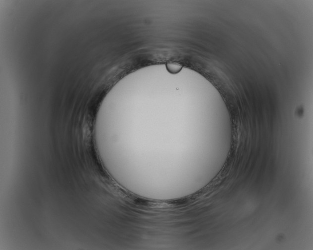 X0000097660226200802290929
