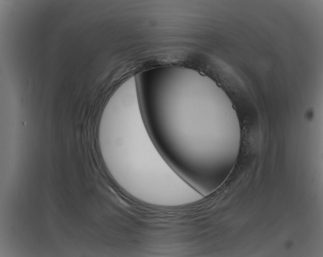 X0000097660227200802290929