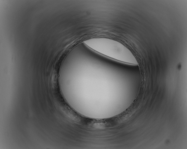 X0000097660228200802290929