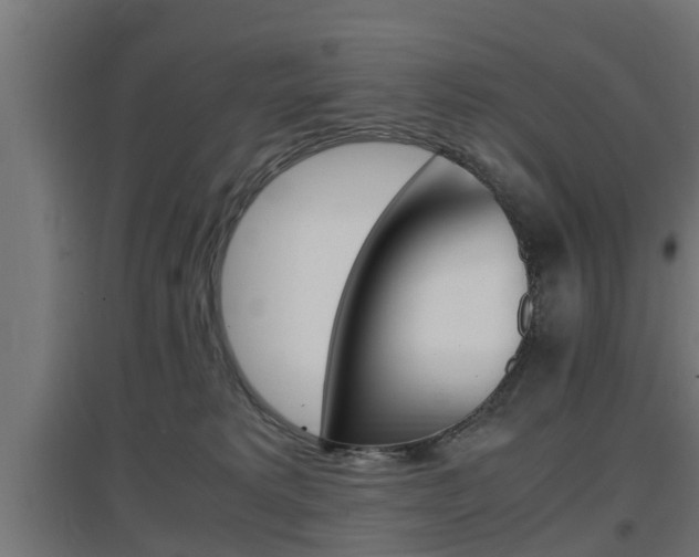 X0000097660229200802290929