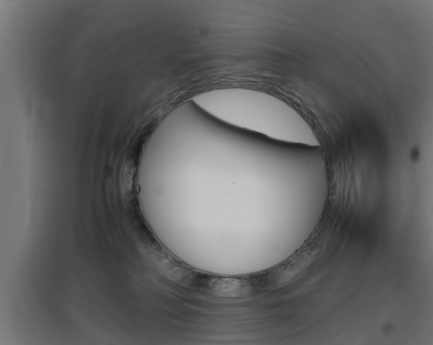 X0000097660230200802290929