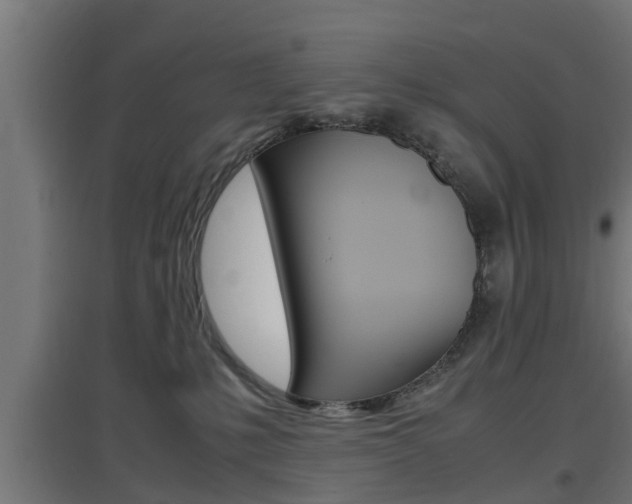 X0000097660231200802290929