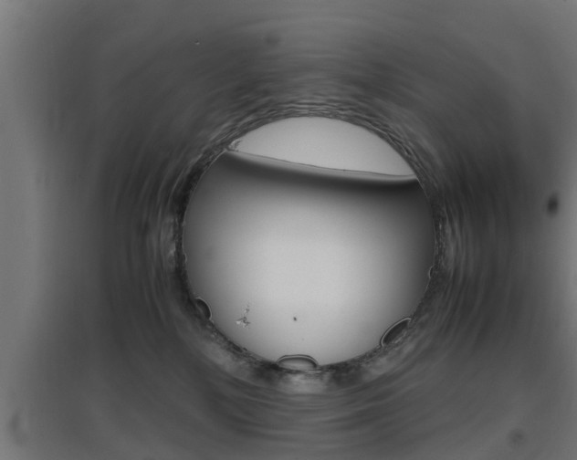 X0000097660232200802290929