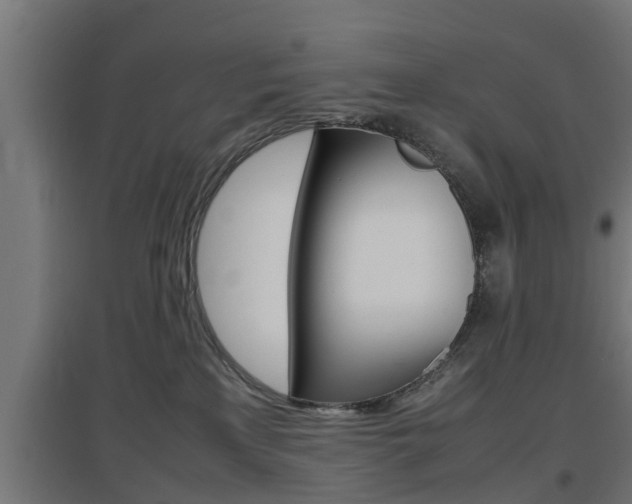 X0000097660233200802290929
