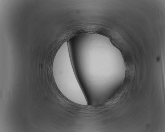 X0000097660237200802290929