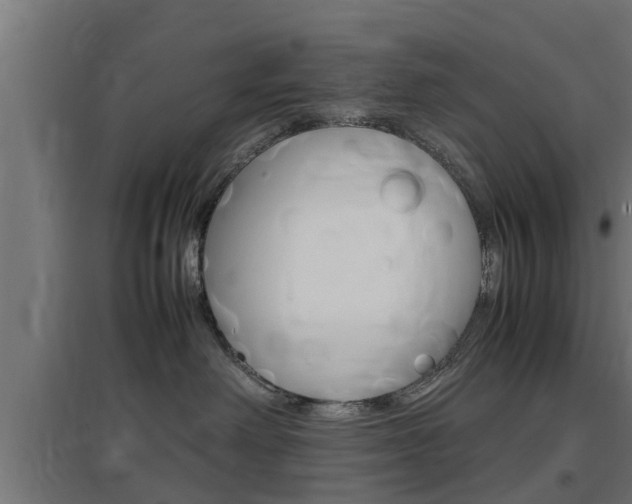 X0000097660238200802290929