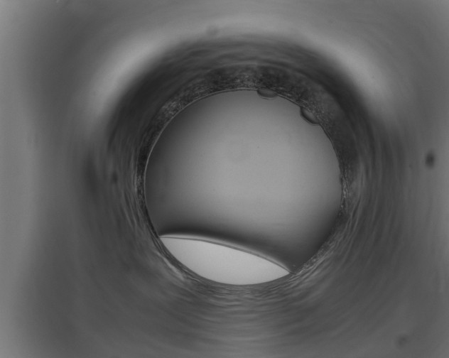 X0000097660239200802290929