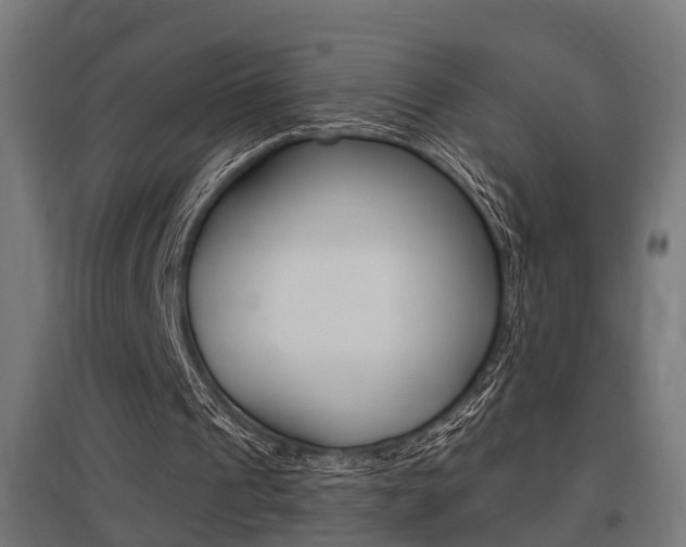 X0000097660241200802290928