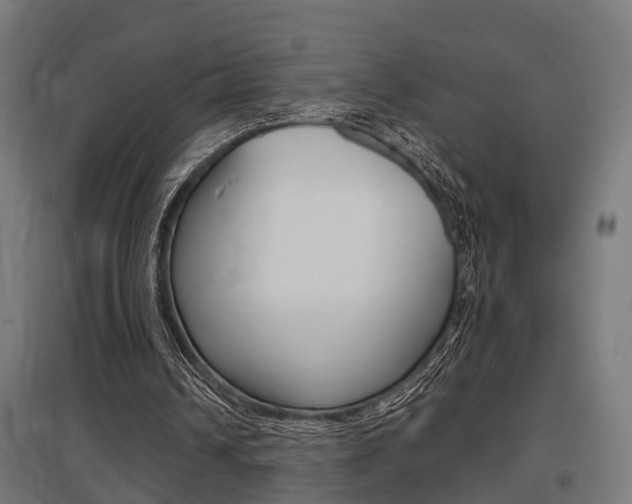X0000097660242200802290928
