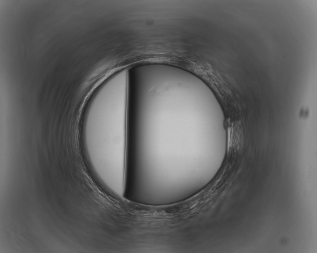 X0000097660243200802290928