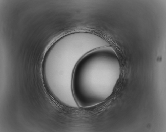 X0000097660244200802290928