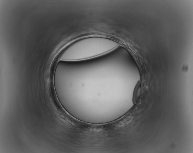 X0000097660247200802290928