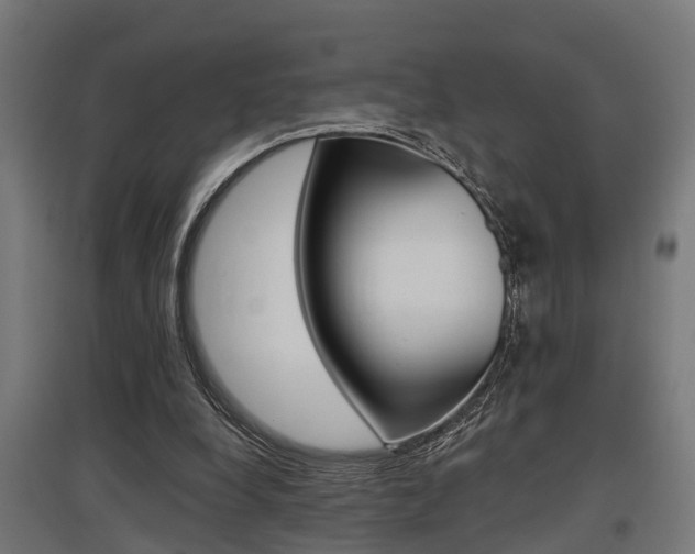 X0000097660248200802290928