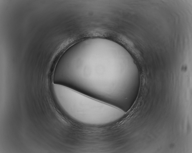 X0000097660250200802290928
