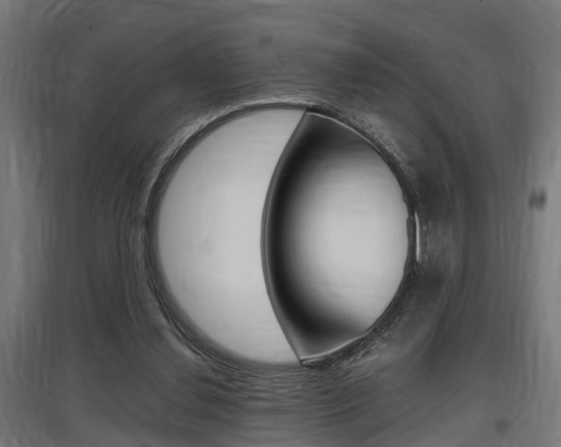 X0000097660252200802290928