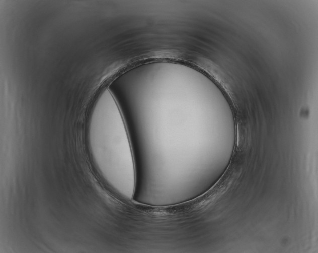X0000097660253200802290928