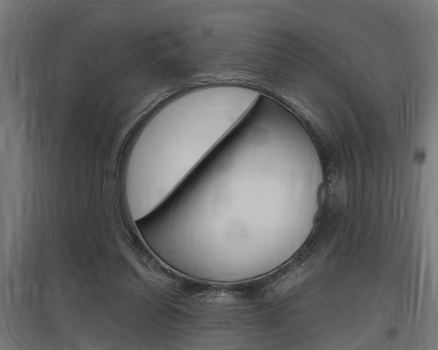 X0000097660254200802290928